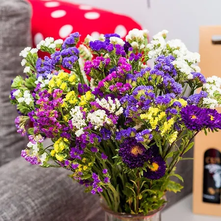 Lägenhet Donita - Comfort Two Bedroom With Balcony And Sea View *